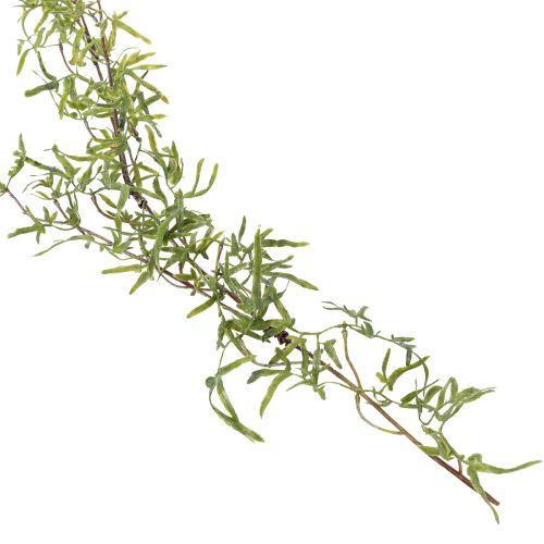 Artikel Aspergeslinger voor feestelijke kamerdecoratie en stijlvolle gelegenheden, 170 cm