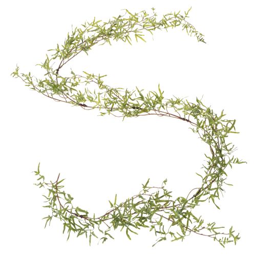 Artikel Aspergeslinger voor feestelijke kamerdecoratie en stijlvolle gelegenheden, 170 cm