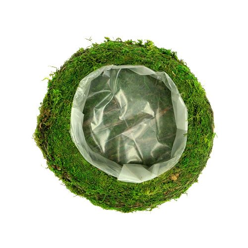 Floristik24 Plantenschaal mos takken Ø20cm