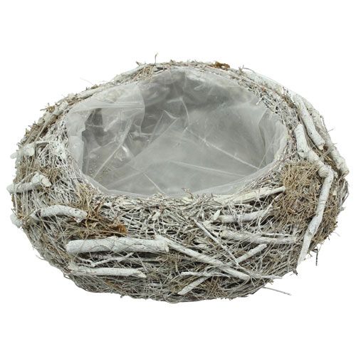 Floristik24 Plantenschaal grijs Ø25cm