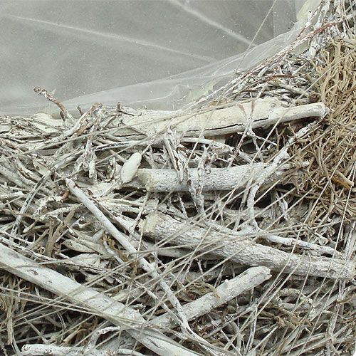 Floristik24 Plantenschaal grijs Ø25cm