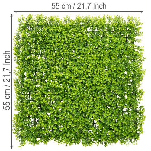 Kunstmatige buxusplantmat 55x55 cm voor decoratieve wanddecoratie | Floristik24.nl
