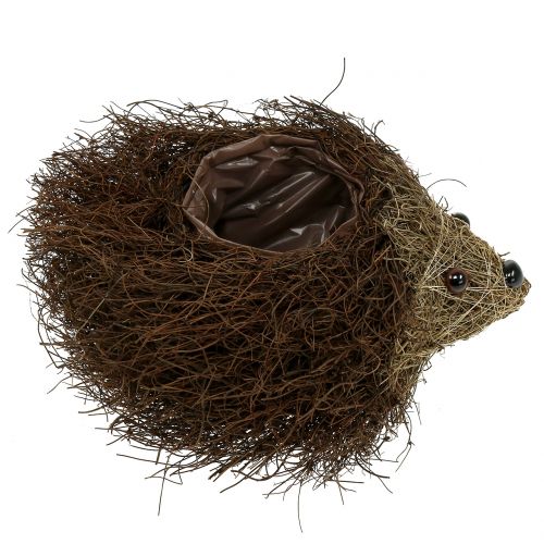Artikel Egel plantenbak gemaakt van wijnranken 22cm x 25cm