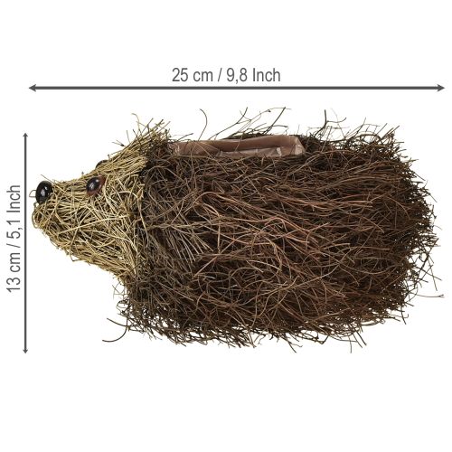 Artikel Egel plantenbak van wijnranken 22cm x 25cm