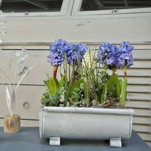 Floristik24 Plantenbakgoot 25cm