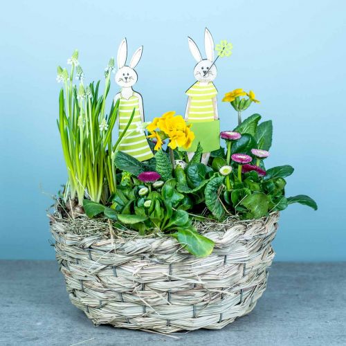 Floristik24 Plantenbak van hooi, siermand, plantenmand, bloemenmand ovaal set van 3