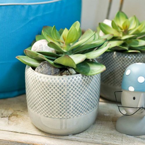 Floristik24 Keramische plantenbak, gevlochten plantenbak, keramiek pot Ø13cm 3st