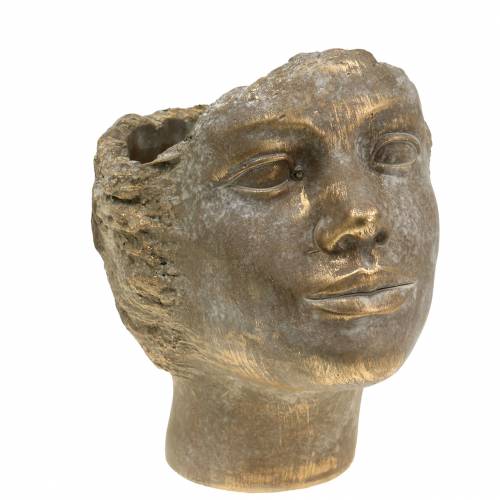 Floristik24 Plantkop plant buste goud H20cm