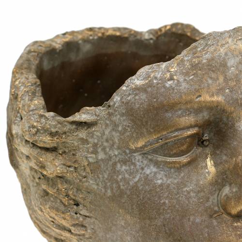 Floristik24 Plantkop plant buste goud H20cm