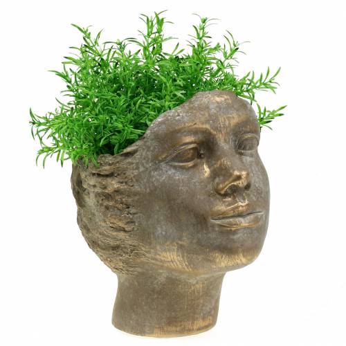 Floristik24 Plantkop plant buste goud H20cm