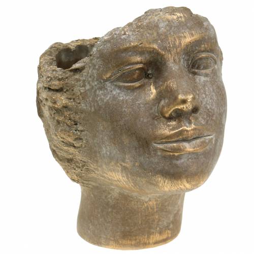 Floristik24 Hoofd planter plant buste goud H24cm