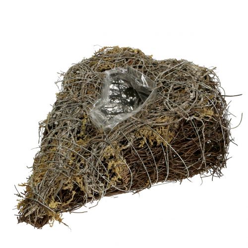 Floristik24 Plantenhart gemaakt van wijnstokken en korstmossen natuurlijk 25 x 19 cm