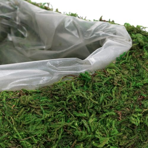 Floristik24 Plant hart mos 28cm x 23cm