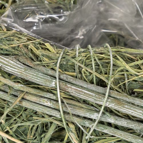 Decoratief hartje van natuurlijk gras met folie-inzetstuk, 14 cm, 2 stuks | Floristik24.nl