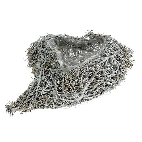 Artikel Planthart wijnstok wit hart voor beplanting 38×32×7,5cm