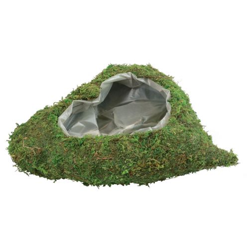 Floristik24 Plantenhart mosgroen plantenschaal hart 26×30×8cm