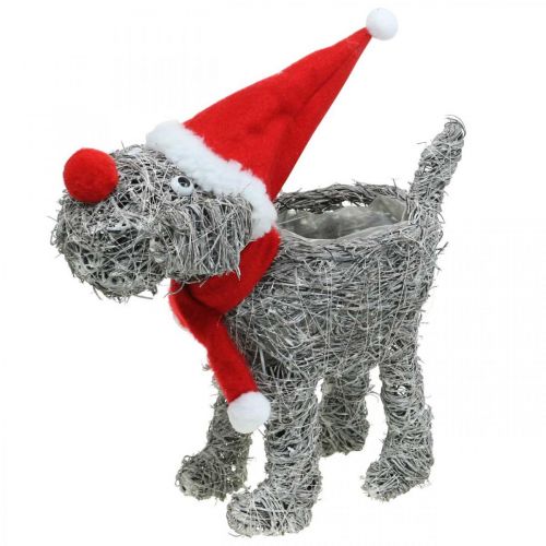 Hond om op te planten, Kerstdecoratie, plantenmand, Advent H30cm L29.5cm