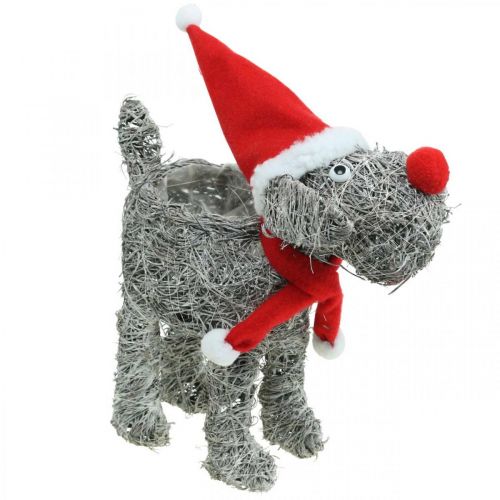 Artikel Hond om op te planten, Kerstdecoratie, plantenmand, Advent H30cm L29.5cm