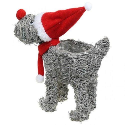 Artikel Hond om op te planten, Kerstdecoratie, plantenmand, Advent H30cm L29.5cm