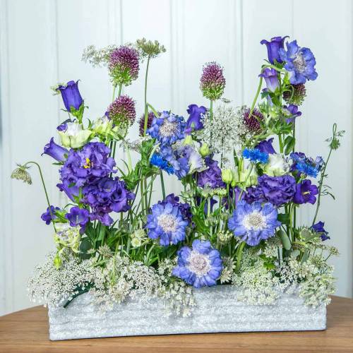 Floristik24 Plantenbak beton lichtgrijs 40x8cm H6,7cm