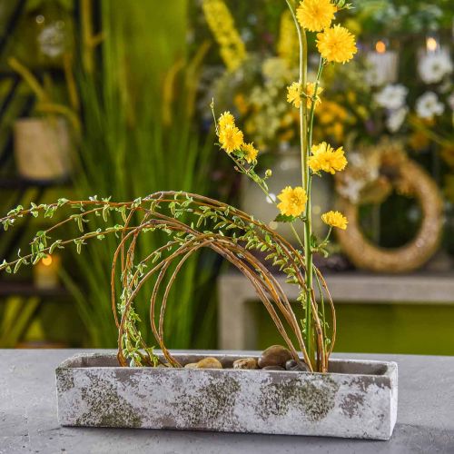 Floristik24 Plantenbak beton antiek look Rechthoekige bloembak 40×8×7cm
