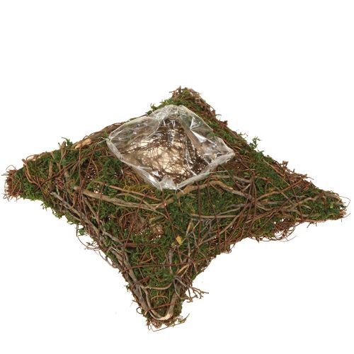 Plantenkussen wijnstokken mos plantenschaal naturel 20×20×6,5cm