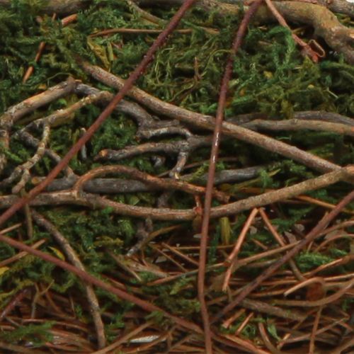 Artikel Plantenkussen wijnstokken mos plantenschaal naturel 20×20×6,5cm