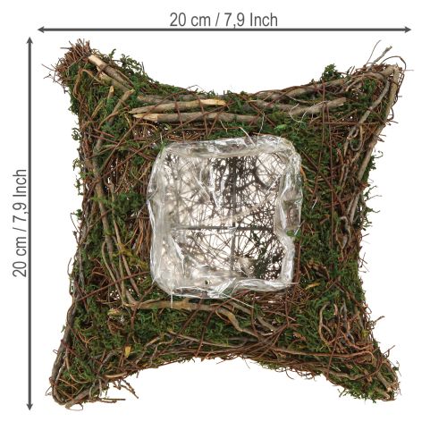 Artikel Plantenkussen wijnstokken mos plantenschaal naturel 20×20×6,5cm