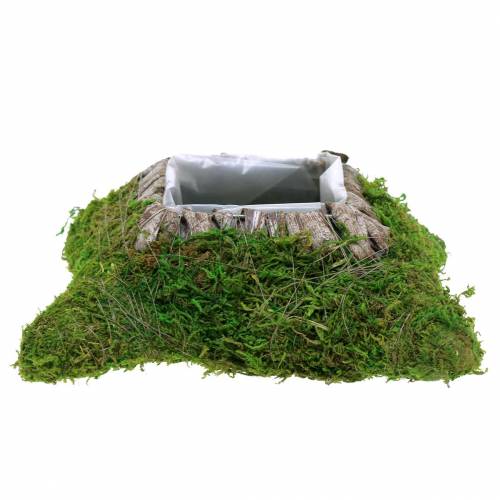 Floristik24 Plantkussen mos, schors 25cm × 25cm
