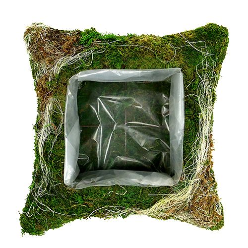 Floristik24 Plantenkussen mos 25cm x 25cm 2st