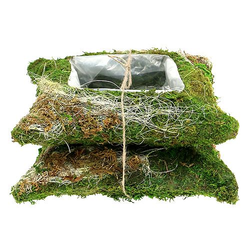 Floristik24 Plantenkussen mos 25cm x 25cm 2st