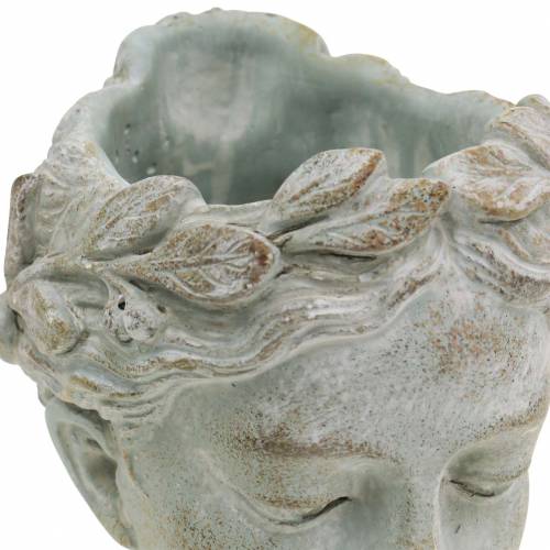 Artikel Plantenkop buste grijsblauw Ø8cm H15cm