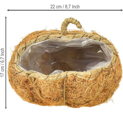 Artikel Plantenmand pompoen herfstdecoratie oranje Ø22cm H17cm