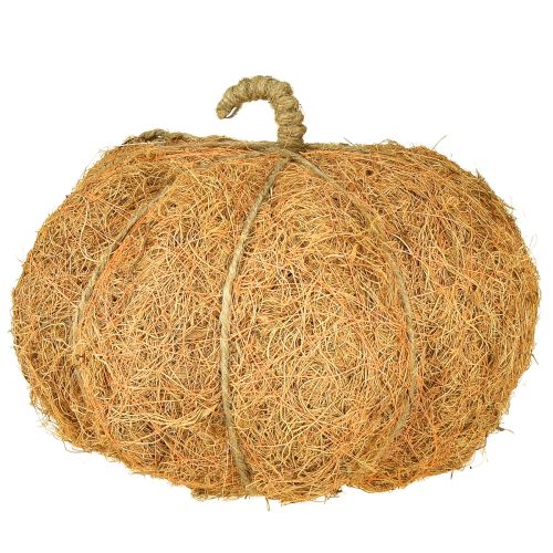 Artikel Plantenmand pompoen herfstdecoratie oranje Ø22cm H17cm