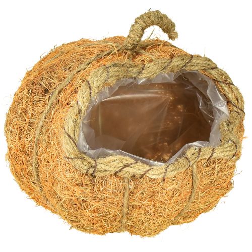 Floristik24 Plantenmand pompoen met folie herfstdecoratie oranje Ø18cm H15cm