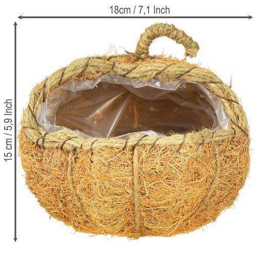 Artikel Plantenmand pompoen met folie herfstdecoratie oranje Ø18cm H15cm
