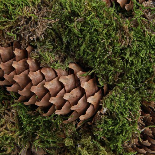Artikel Plantenmand mos sparren kegels mand met handvat Ø32cm H42cm
