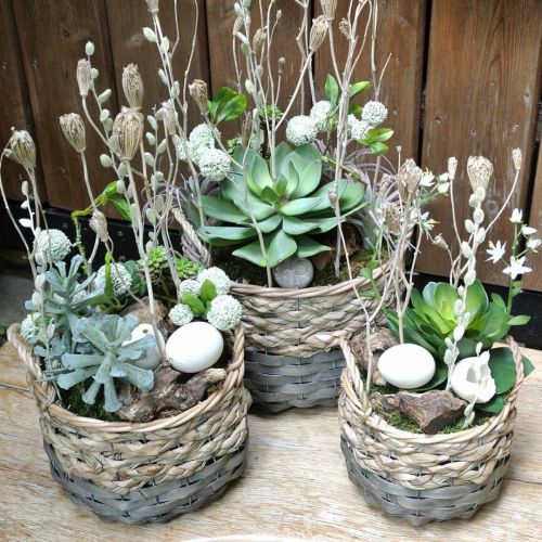 Floristik24 Plantenmand, rieten mand voor planten, bloemenmand rond naturel, grijs Ø29/23,5/18cm set van 3