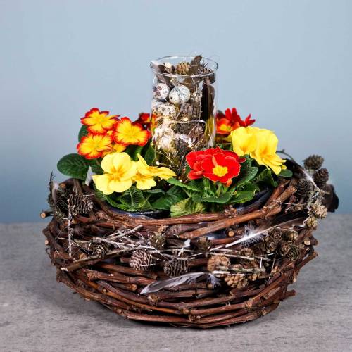 Floristik24 Plantenmand wijnstoktakken natuur Ø36cm H16cm