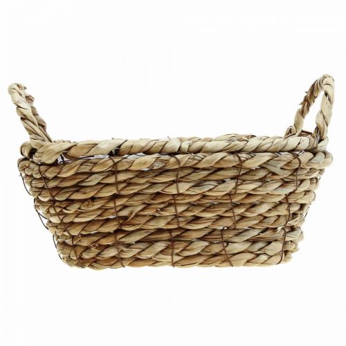 Floristik24 Plantenmand zeegrasmand met hengsels ovale decoratie 23×13×9cm