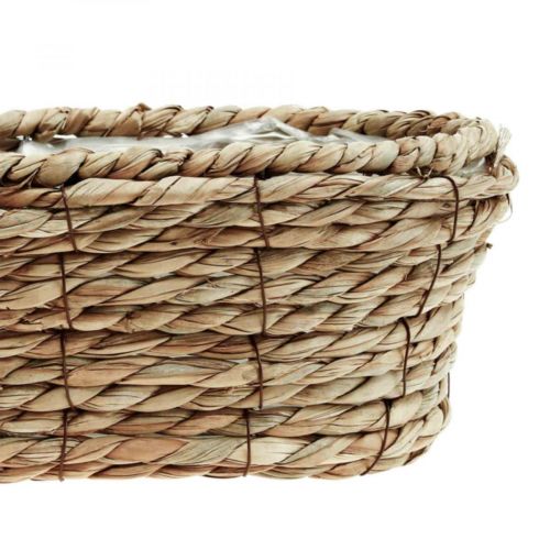Floristik24 Plantenmand zeegrasmand ovale siermand 28×15×10cm