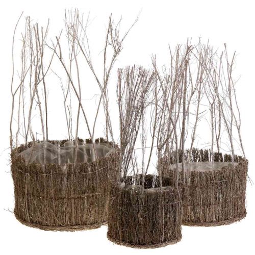 Floristik24 Plantenmand van takjes white wash Ø15-25cm set van 3