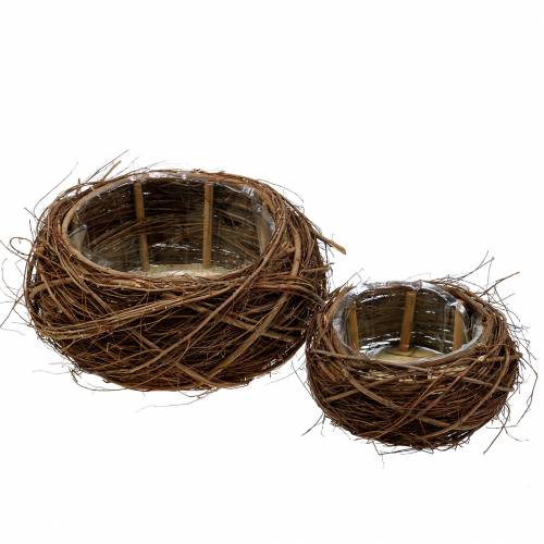 Floristik24 Plantenmand wijnstok en twijgen naturel Ø37/28cm, set van 2