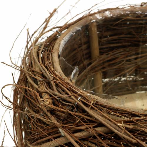 Floristik24 Plantenmand wijnstok en twijgen naturel Ø37/28cm, set van 2