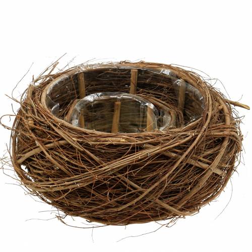 Floristik24 Plantenmand wijnstok en twijgen naturel Ø37/28cm, set van 2