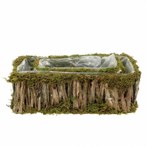 Floristik24 Plantmand hoekig mos, schors 34 × 15,5 / 24,5 × 11cm, set van 2