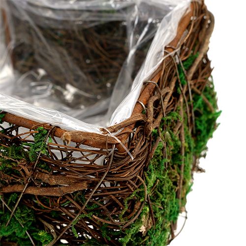 Floristik24 Plantkruis, set van 2 wijnstokken, mos