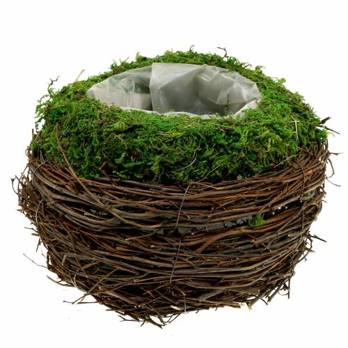 Floristik24 Plantenschaal rotan, mos Ø19cm H13cm