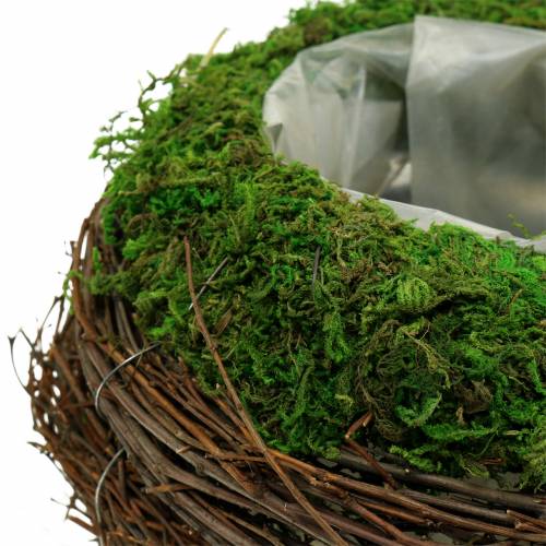Floristik24 Plantenschaal rotan, mos Ø19cm H13cm