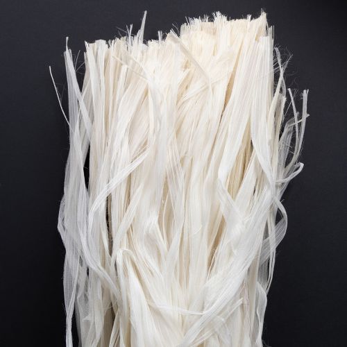 Floristik24 Skeletlint van plantaardige natuurlijke vezels, decoratielint van natuurlijk materiaal, 180 g